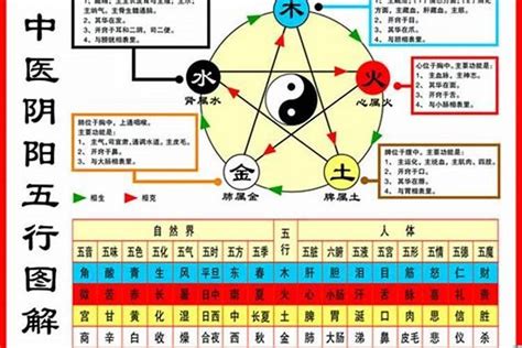 1984 五行|84年属鼠什么五行 84年属鼠的五行是属什么